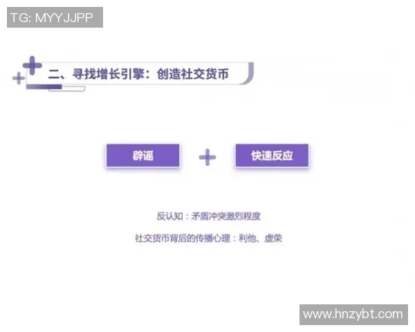 武汉排球队运营分析：成败得失背后的深层原因探讨